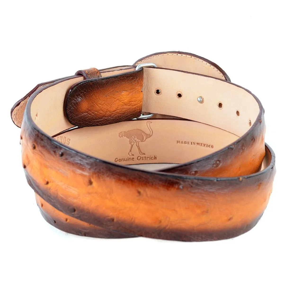 Men's Los altos Ostrich Cowboy Belt C11U0301