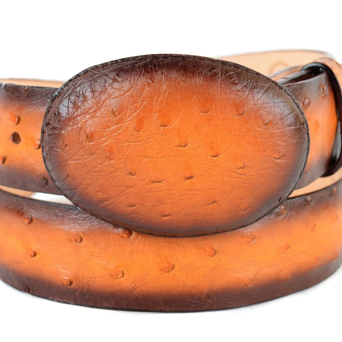 Men's Los altos Ostrich Cowboy Belt C11U0301