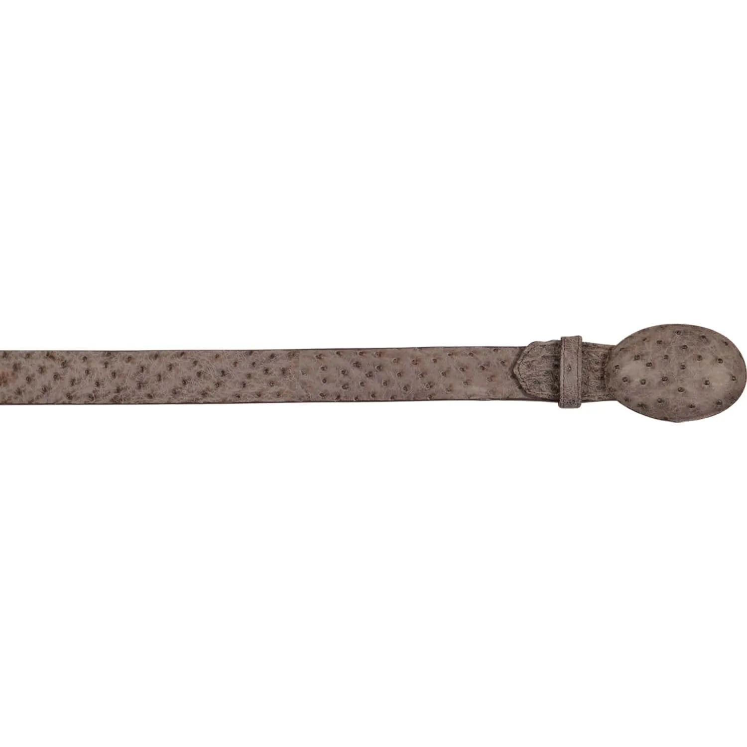 Men's Los altos Ostrich Cowboy Belt C11U0385
