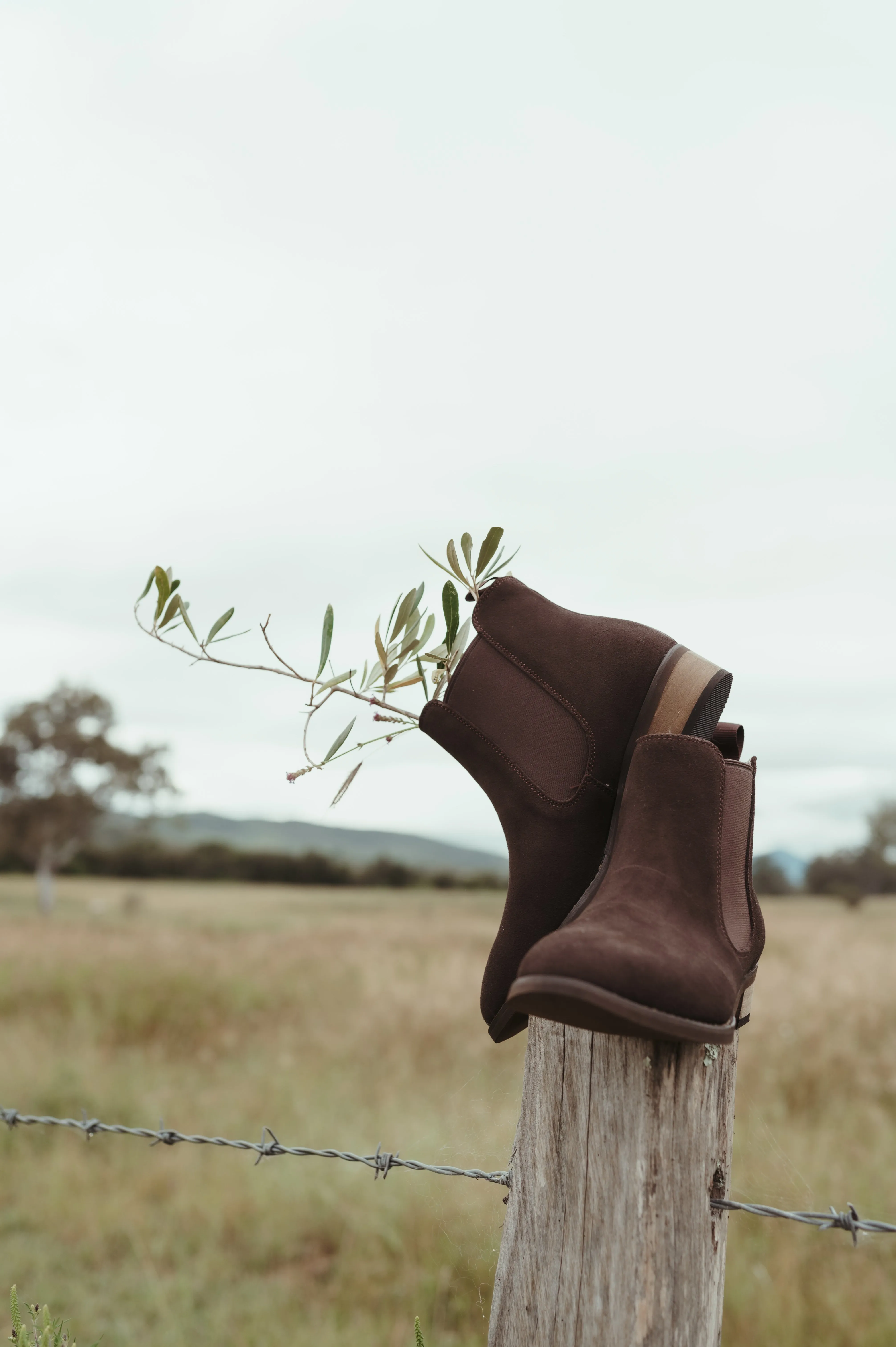 Women's Chelsea Boot- Chocolate
