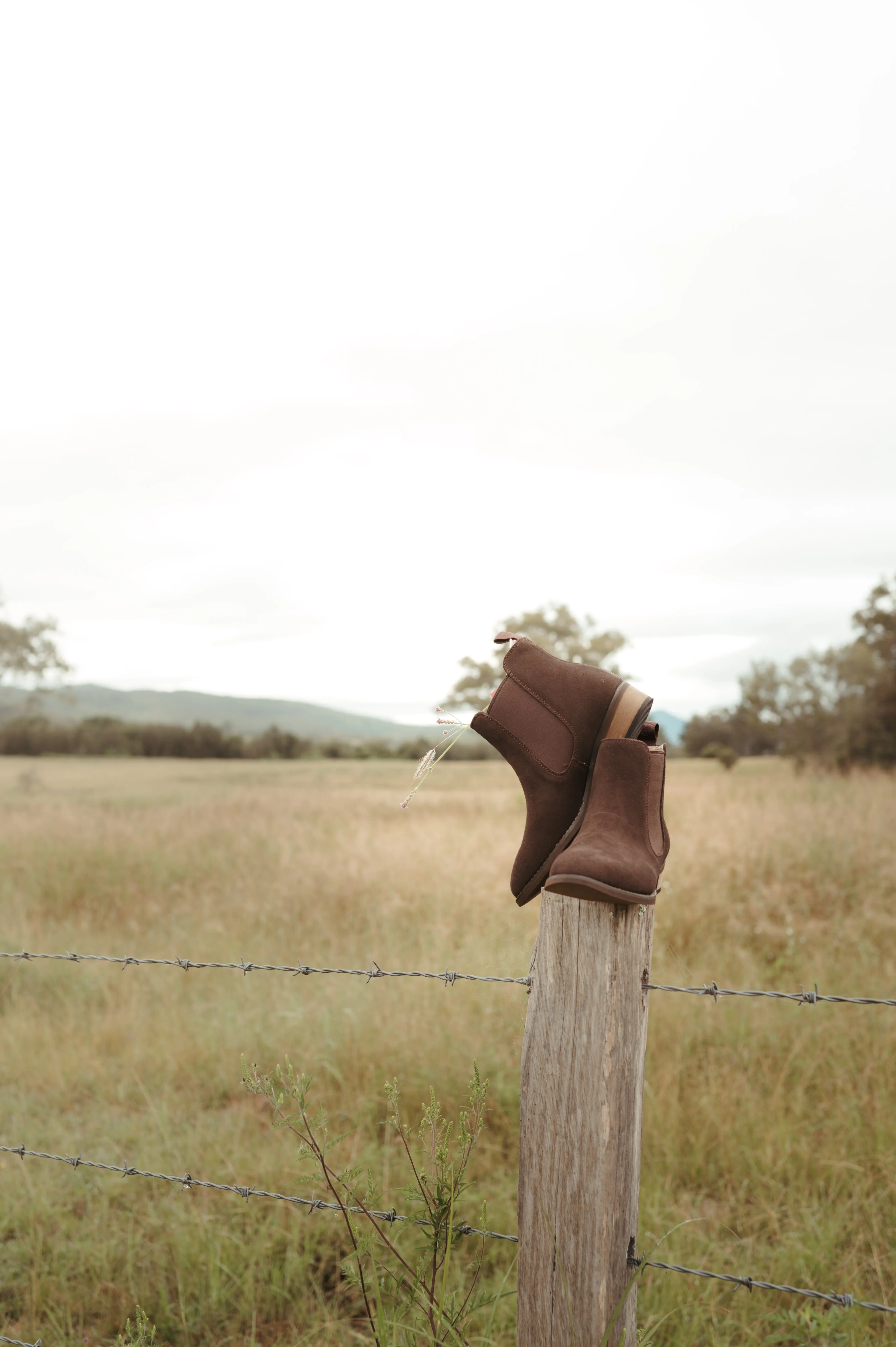 Women's Chelsea Boot- Chocolate